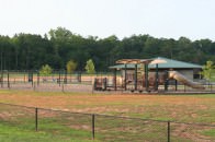 Loretta-Woods-Featured-Opp