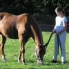 c-grazing-horse-girl