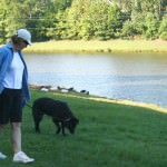 ogdollie-dog-walker
