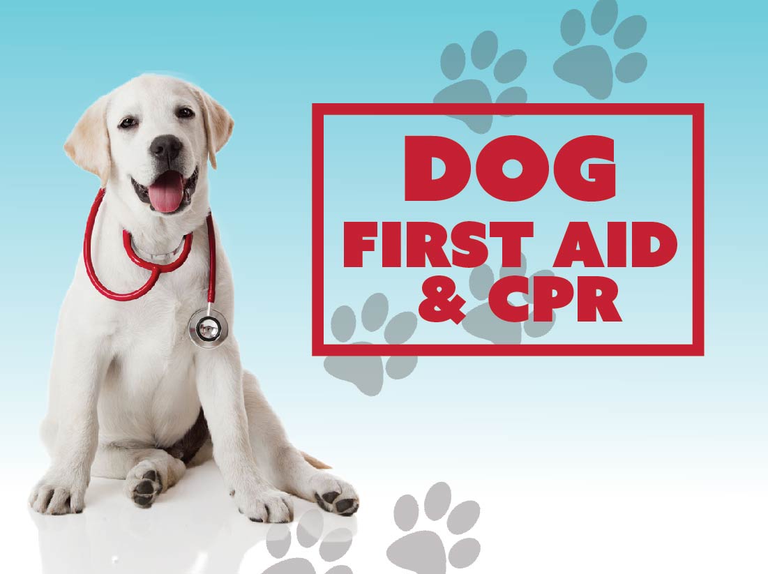Dog First Aid & CPR - Greenville County Parks Recreation & Tourism