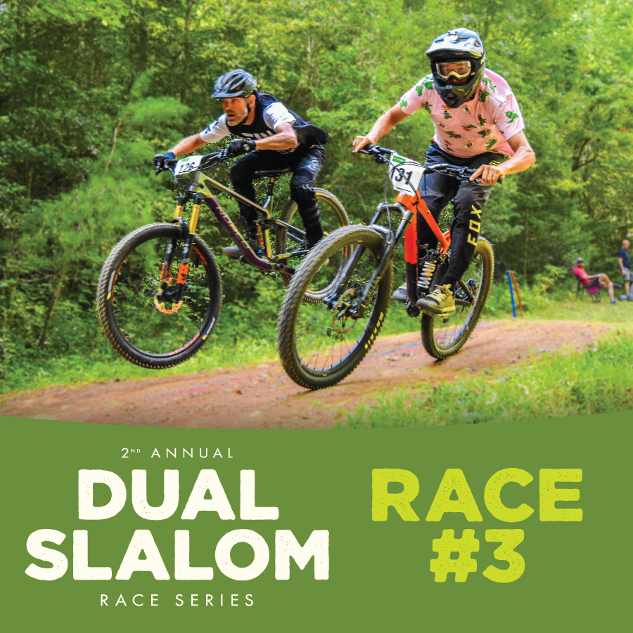 Dual racer discount