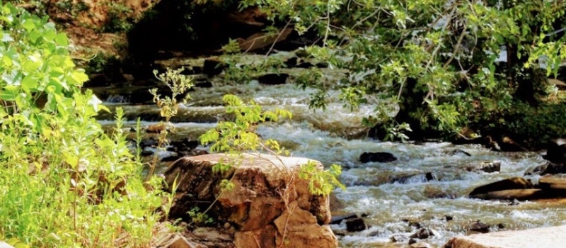 cedar-falls-web-race