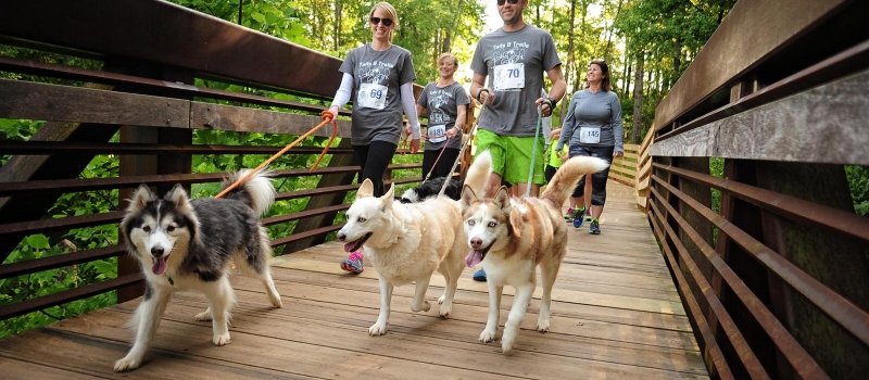 event-2017-tails-and-trails-5k